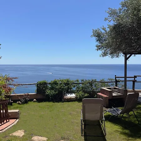 Ulivo Vista Mare